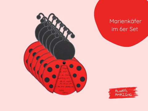 Marienkäfer Bastelset