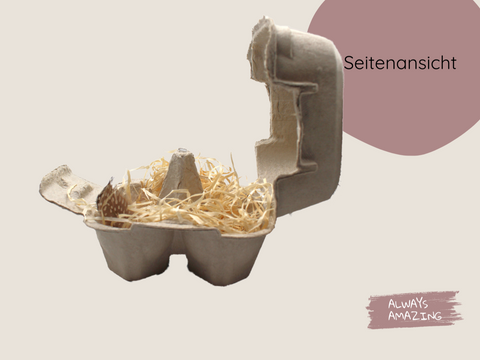 Osternest Eierkarton Bastelset