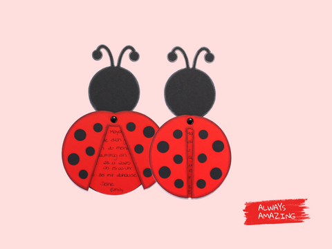 Marienkäfer Bastelset