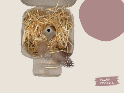 Osternest Eierkarton Bastelset