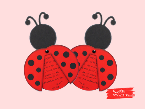 Marienkäfer Bastelset