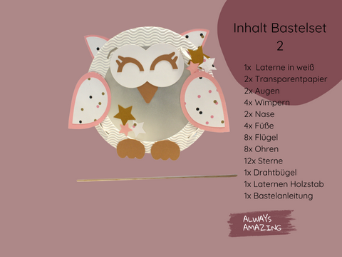 Bastelset Laterne Eule – Stanzteile und Transparentpapier im Überblick | Always Amazing Bastelshop