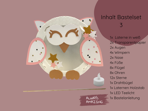 Komplettset Laterne Eule – Holzstab, Drahtbügel und Bastelmaterial | Always Amazing Bastelshop